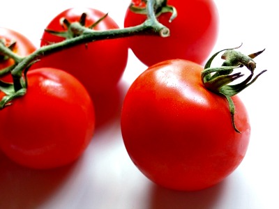 Jakie są najczęstsze choroby naszych pomidorów?