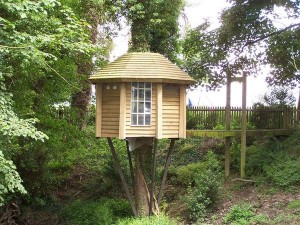 the-ultimate-tree-house-with-suspension-bridge-access-geograph-org-uk-1396507_l